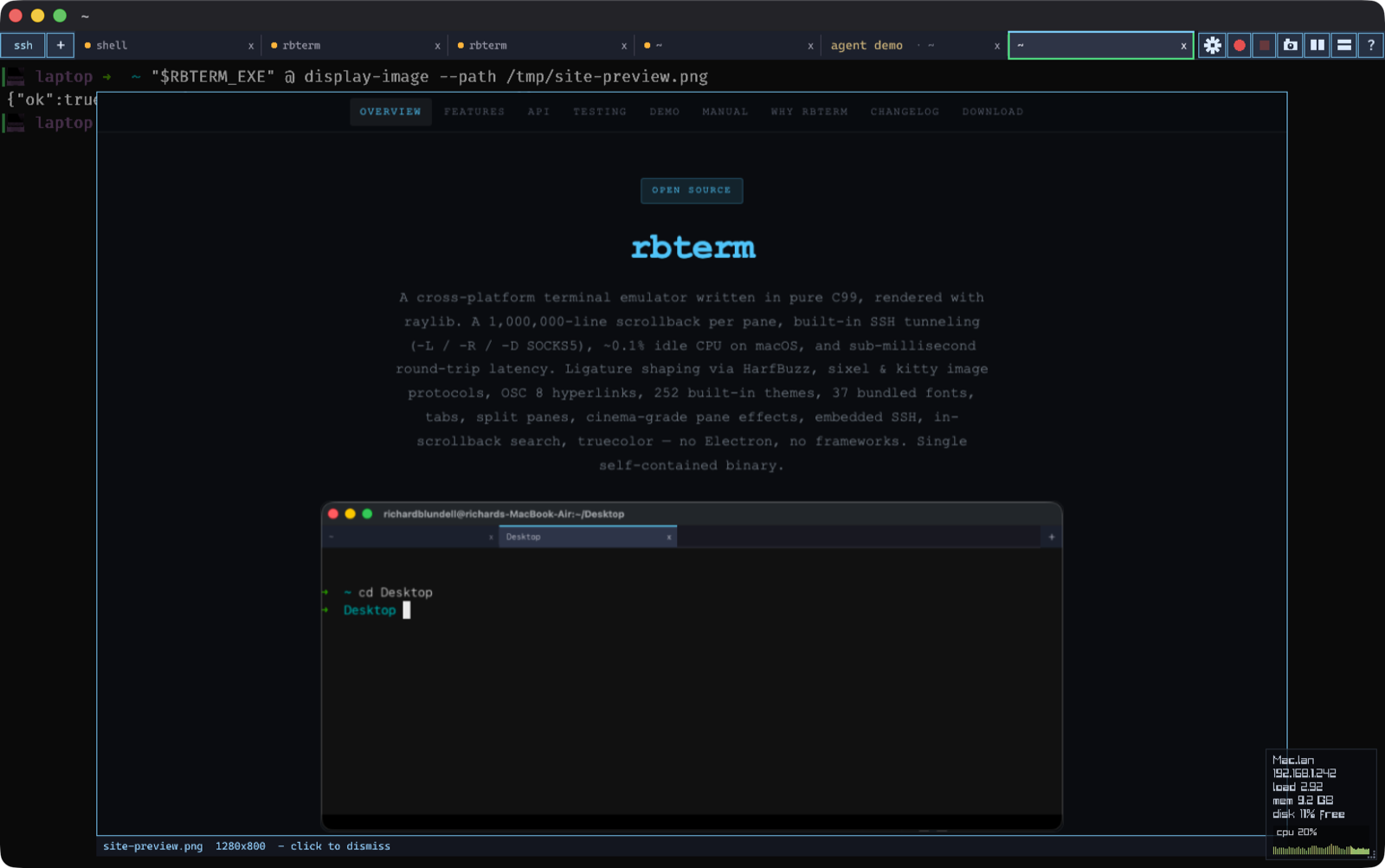 An rbterm pane with an image overlay: a picture displayed inside the terminal by the rbterm @ display-image command, with a caption bar naming the file